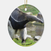 Giant Anteater die op gras loopt Keramisch Ornament (Links)