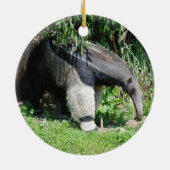 Giant Anteater Ornament (Achterkant)