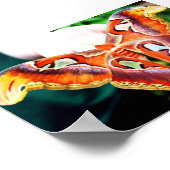Giant Atlas Moth Poster (Hoek)