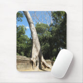 Giant Banyan Tree ... Ta Prohm Temple, Cambodja Muismat (Met muis)