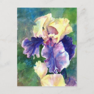 Giant Bearded Iris Briefkaart