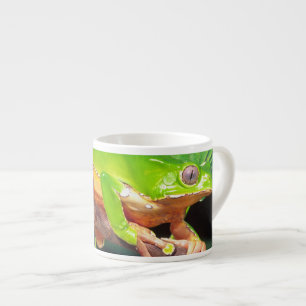 Giant Bicolor Monkey Treefrog, Phyllomedusa Espresso Kop