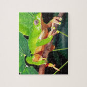 Giant Bicolor Monkey Treefrog, Phyllomedusa Legpuzzel (Verticaal)