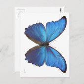 Giant Blue Morpho Butterfly Briefkaart (Voorkant / Achterkant)