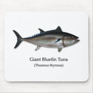 Giant Bluefin Tuna Muismat