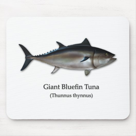 Giant Bluefin Tuna Muismat (Voorkant)