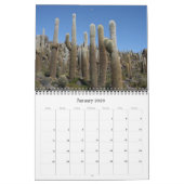 Giant Cactus 2025 Kalender (Jan 2026)
