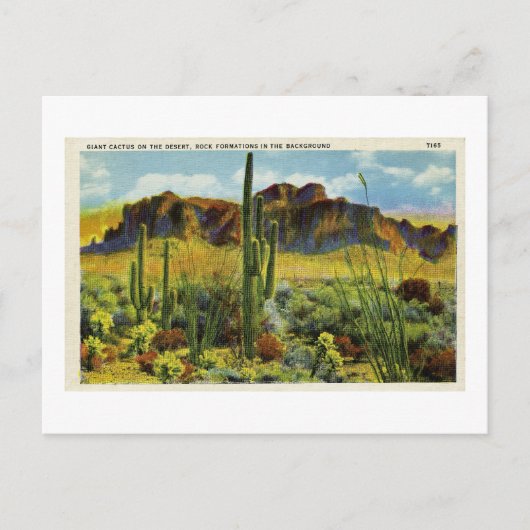 Giant Cactus in het Briefkaart van de woestijn (Voorkant)