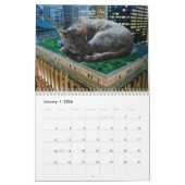 Giant Cats heeft Chicago onder vuur gelegd. Kalender (Jan 2026)