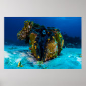 Giant Clam on the Great Barrier Reef Poster (Voorkant)