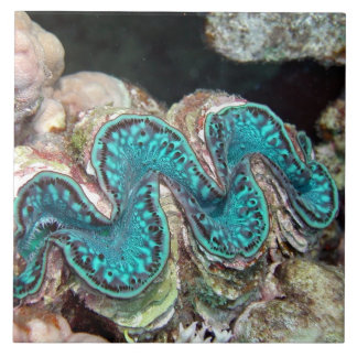 Giant Clam Tile Tegeltje