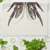 Giant Coconut Crab -  illustratie Theedoek (Gevouwen)