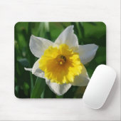 Giant Daffodil Muismat (Met muis)