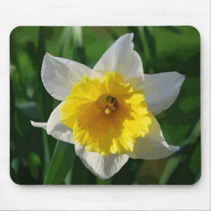 Giant Daffodil Muismat