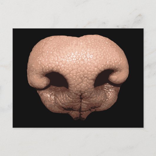 Giant Dog Nose Briefkaart (Voorkant)