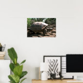 Giant Dome-Shaped Tortoise Walking Poster (Thuiskantoor)