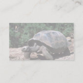 Giant Dome-Shaped Tortoise Walking Visitekaartje (Achterkant)