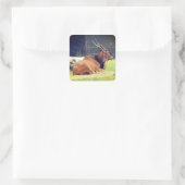 Giant Eland Stickers (Tas)