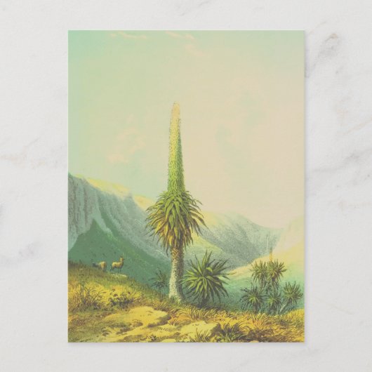 Giant Exotic Plant Briefkaart (Voorkant)