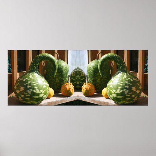 Giant Fancy Gourds Herfst Spiegel Abstract Poster (Voorkant)