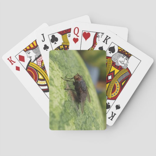 GIANT Fly Deck of Paring Cards Pokerkaarten (Achterkant)