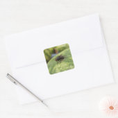 GIANT Fly Sticker Set (Envelop)