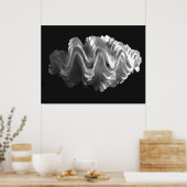 Giant Frilled Clam Seashell Tridacna squamosa Poster (Keuken)