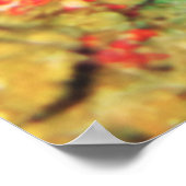 Giant Frogfish-White Poster (Hoek)