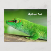 Giant Green Day Gecko Briefkaart (Voorkant)
