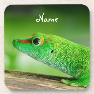 Giant Green Day Gecko - Phelsuma grandis Bier Onderzetter