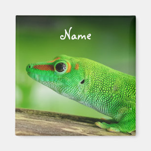 Giant Green Day Gecko - Phelsuma grandis Magneet