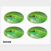 Giant Green Day Gecko - Phelsuma grandis Ovale Sticker (Vel)