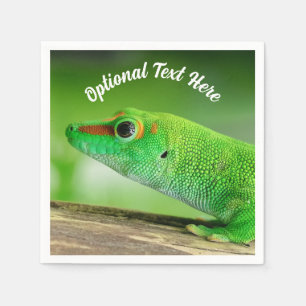 Giant Green Day Gecko - Phelsuma grandis Servet