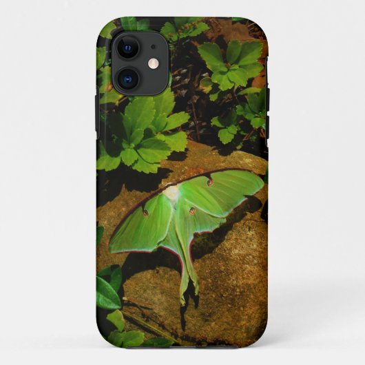 Giant Green Luna moth Case-Mate iPhone Case (Achterkant)