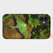 Giant Green Luna moth Case-Mate iPhone Case (Achterkant (horizontaal))