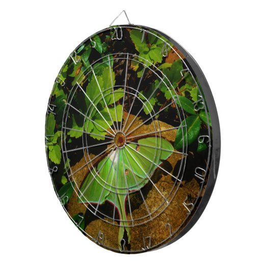 Giant Green Luna moth Dartbord (Voorkant Rechts)