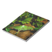 Giant Green Luna moth Notitieblok (Gedraaid)