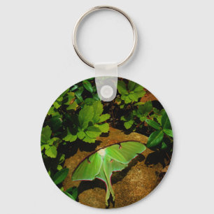 Giant Green Luna moth Sleutelhanger
