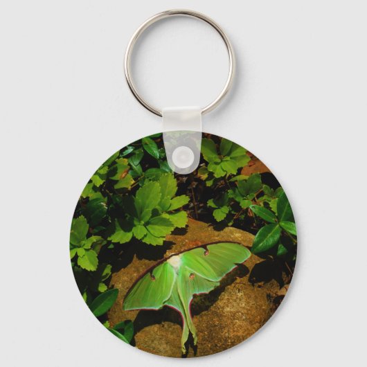 Giant Green Luna moth Sleutelhanger (Voorkant)