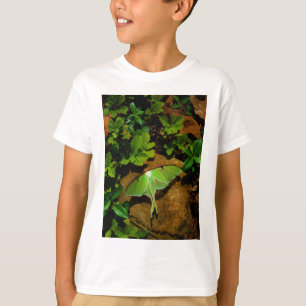 Giant Green Luna moth T-shirt
