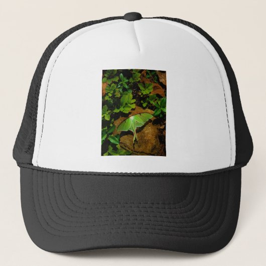 Giant Green Luna moth Trucker Pet (Voorkant)