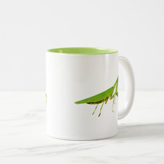 Giant Green Praying Mantis Mok (Voorkant rechts)