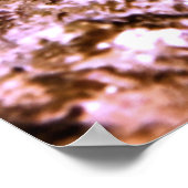 Giant Hawkfish Poster (Hoek)