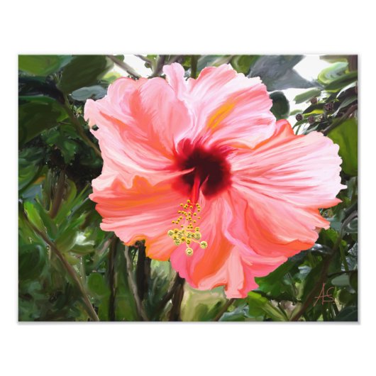 Giant Hibiscus Foto Afdruk (Voorkant)