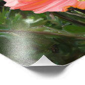 Giant Hibiscus Foto Afdruk (Hoek)