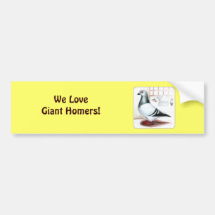 Giant Homer Pigeon 1973 Bumpersticker