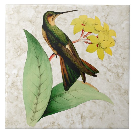 Giant Hummingbird Ceramic Tile Tegeltje (Voorkant)