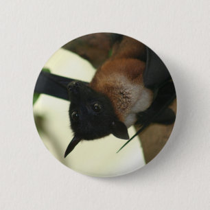 Giant Indian Fruit Bat Ronde Button 5,7 Cm