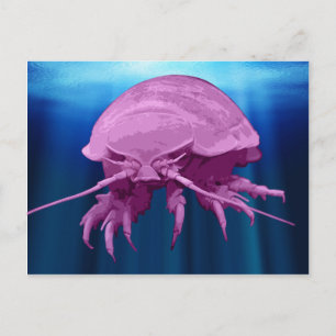 Giant Isopod Briefkaarten
