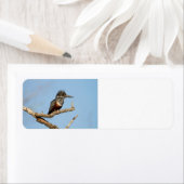 Giant Kingfisher Etiket (Insitu)